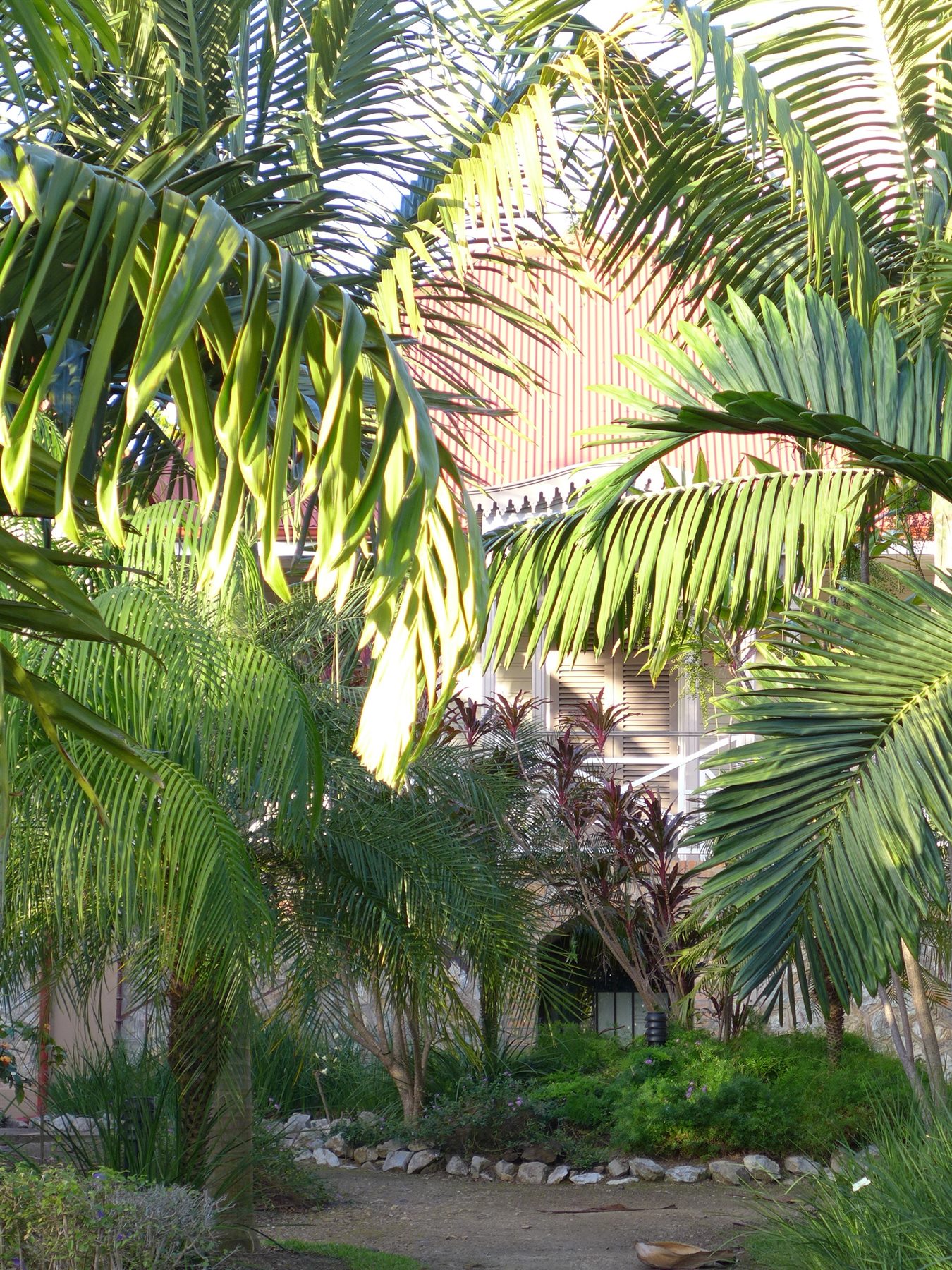 Maison coloniale entourée d’un jardin tropical